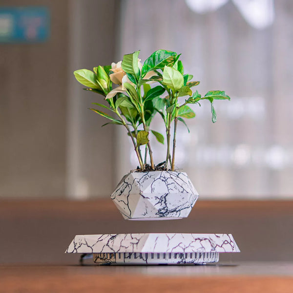 Magnetic Floating Plant