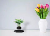 Magnetic Floating Plant